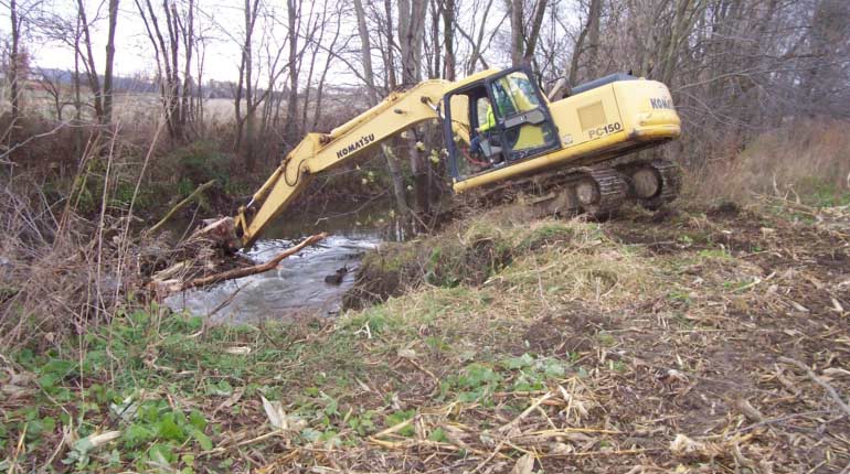 Tree Removal from Creek